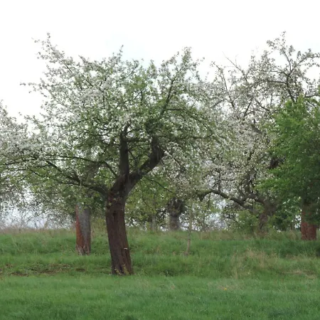 Pod Miotelka Farm stay Wlen