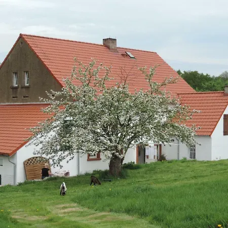 Pod Miotełką Gospodarstwo agroturystyczne *