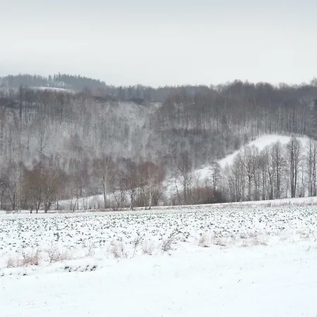 Pod Miotelka 팜스테이 *