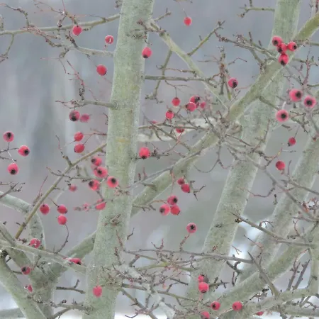 Pod Miotelka 팜스테이 Wlen