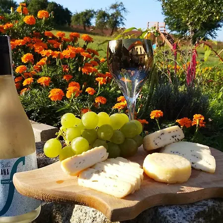 팜스테이 Pod Miotelka *